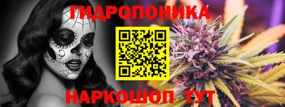 амф Новозыбков
