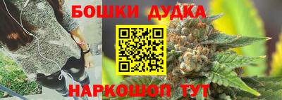 сатива Новодвинск