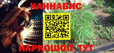 сатива Новодвинск