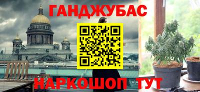 амф Новозыбков